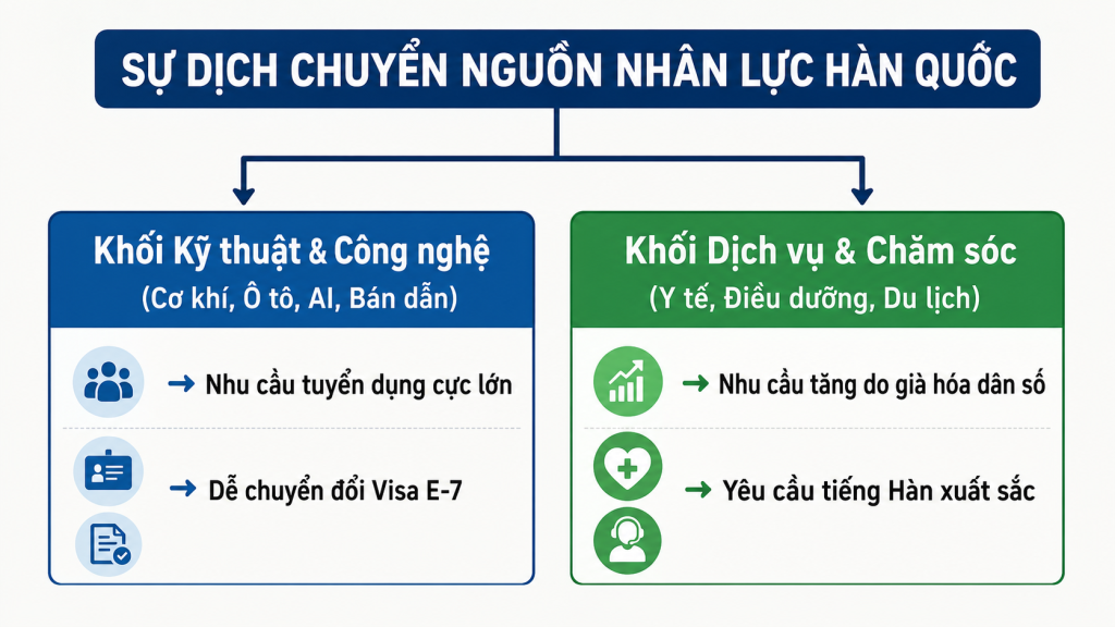 Du học Hàn Quốc nên chọn ngành gì